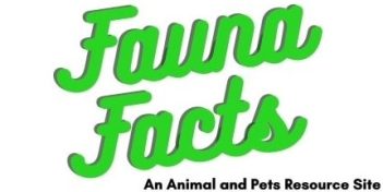 fauna facts is an animal and pets resource site