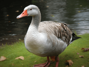 Do Geese Have Teeth? (Terrifying Geese Teeth Explained) – Fauna Facts